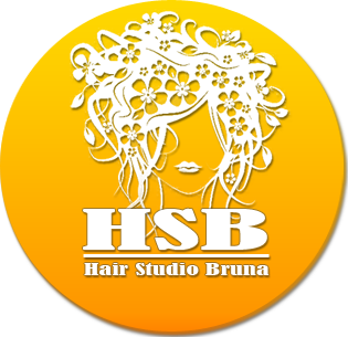 logo hair studio brun